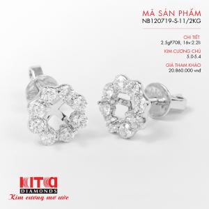 Vỏ Bông Tai Kim Cương